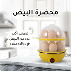 • Egg processor