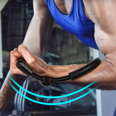 Exercise device for the wrist and forearm