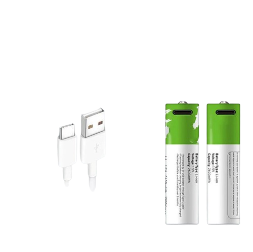 Battery with AA charger